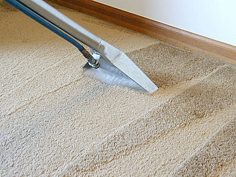 carpet cleaning3